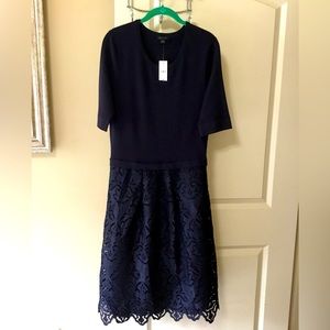Ann Taylor dress